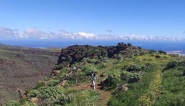 MOGAN VERDE - privé en groepswandelingen in Gran Canaria